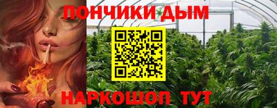 СК Дубна