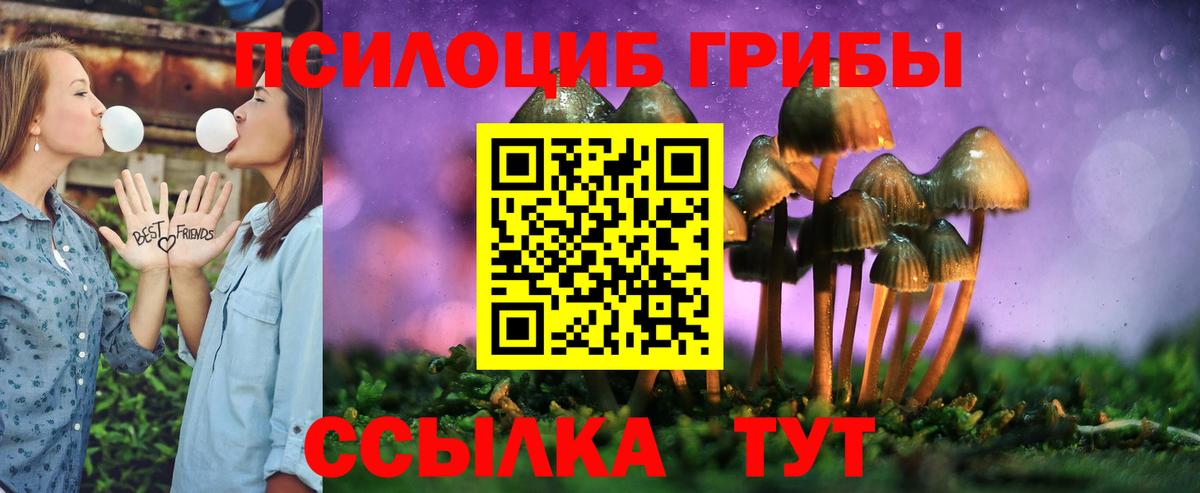 Михайловка  Псилоцибиновые грибы прущие грибы  Вход с VPN 